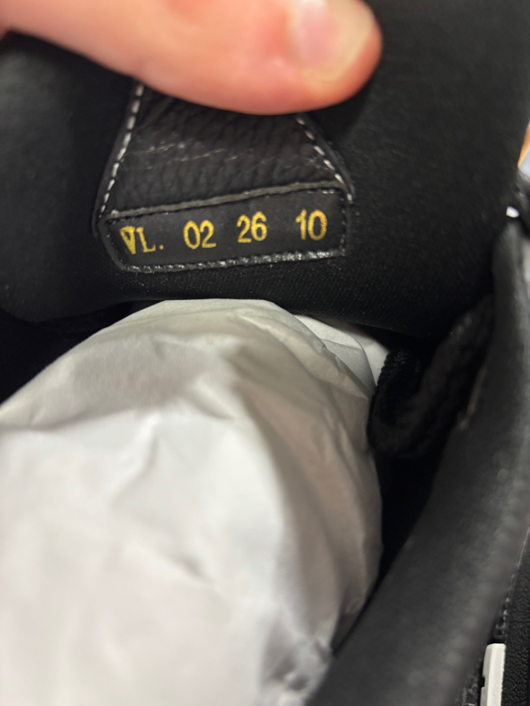 Louis Vuitton Lv skate sneakers