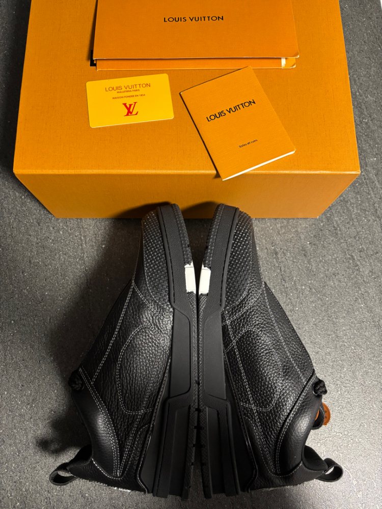 Louis Vuitton Lv skate sneakers