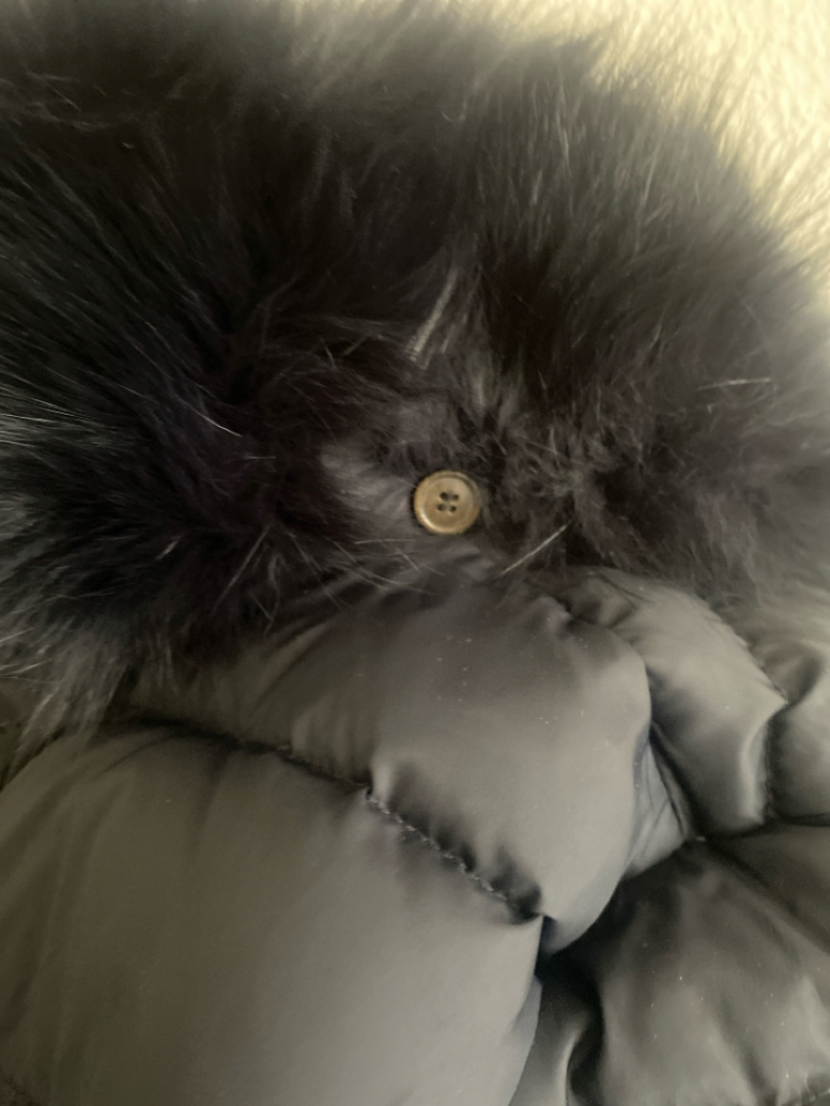 Weekend Max Mara Veste