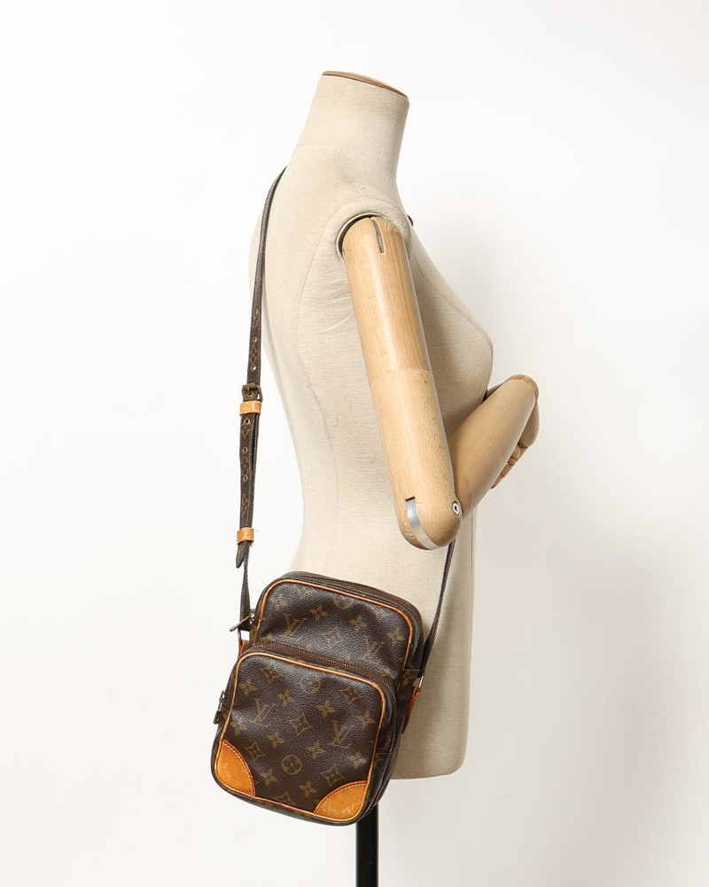 Louis Vuitton Monogram Amazon Bag
