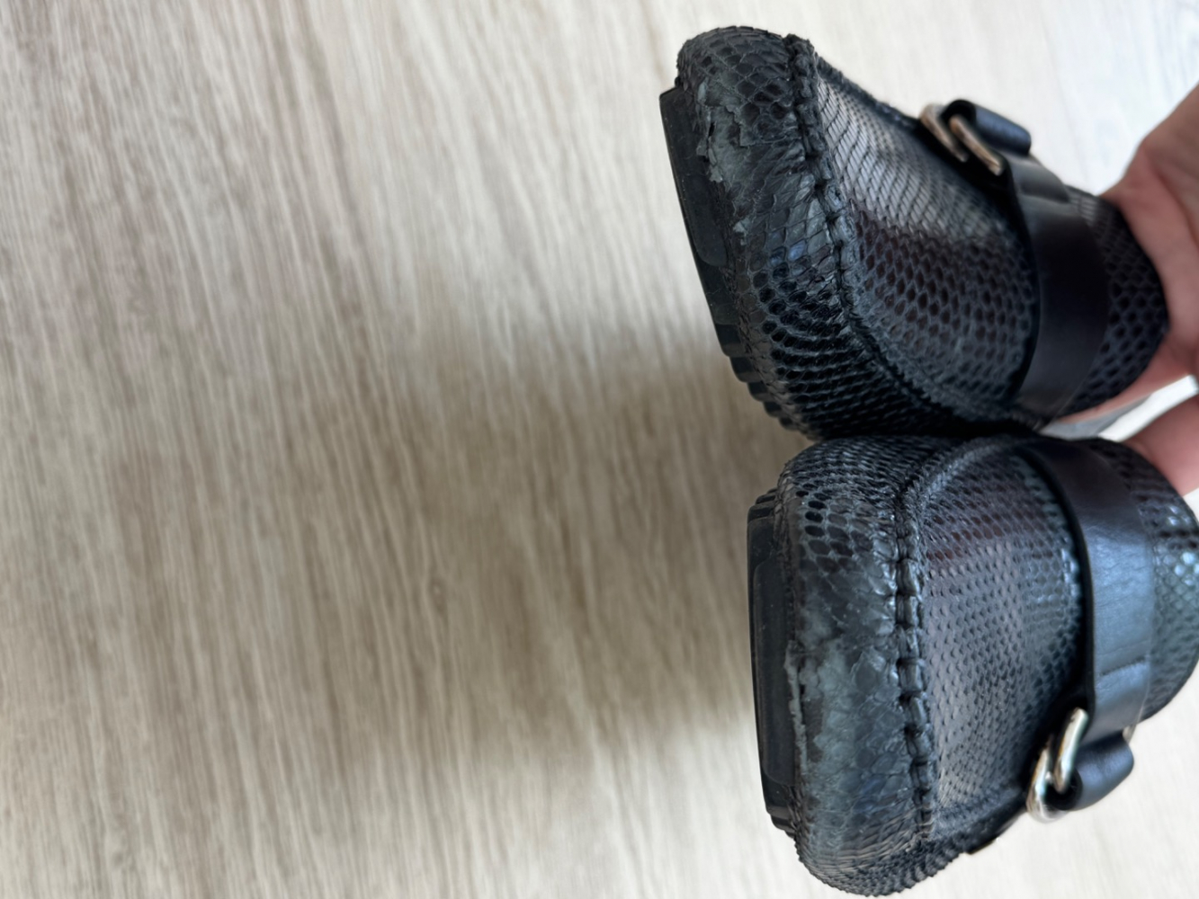 Dolce&Gabbana Python