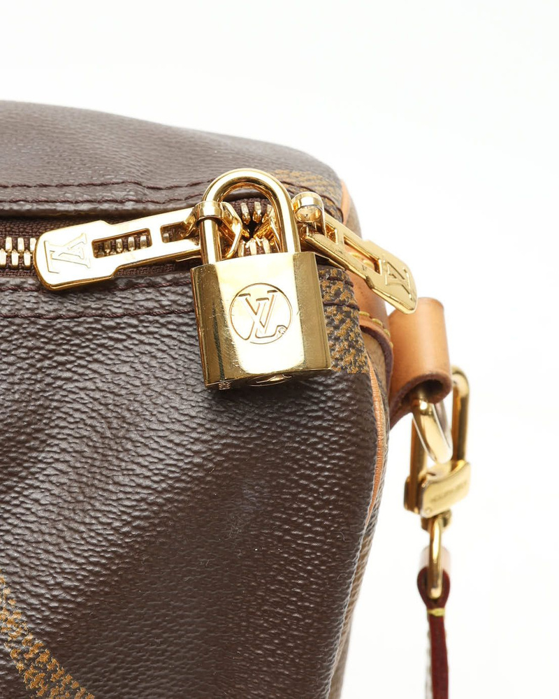 Louis Vuitton Monogram Giant Speedy 30 Reverse Bandoulière Bag