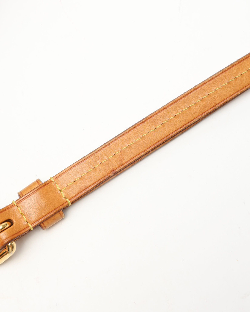 Louis Vuitton Monogram Turenne PM Bag