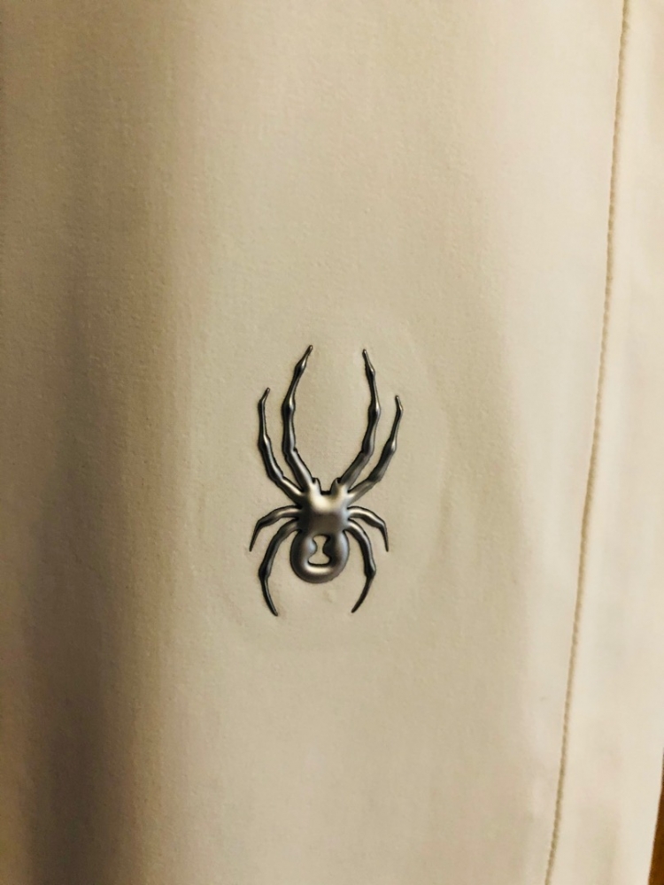Spyder Ski pants
