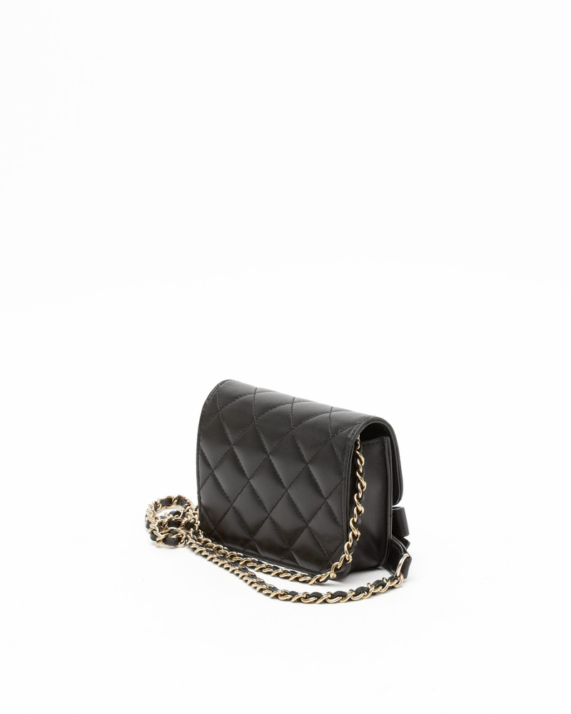 Chanel Mini Wallet On Chain Bag