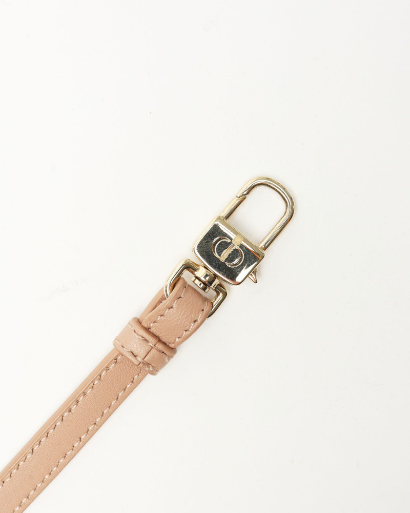 Christian Dior Micro Lady Dior Vanity Case Bag