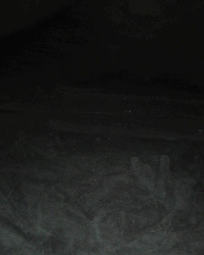 Saint Laurent Paris Flat Hobo Bag