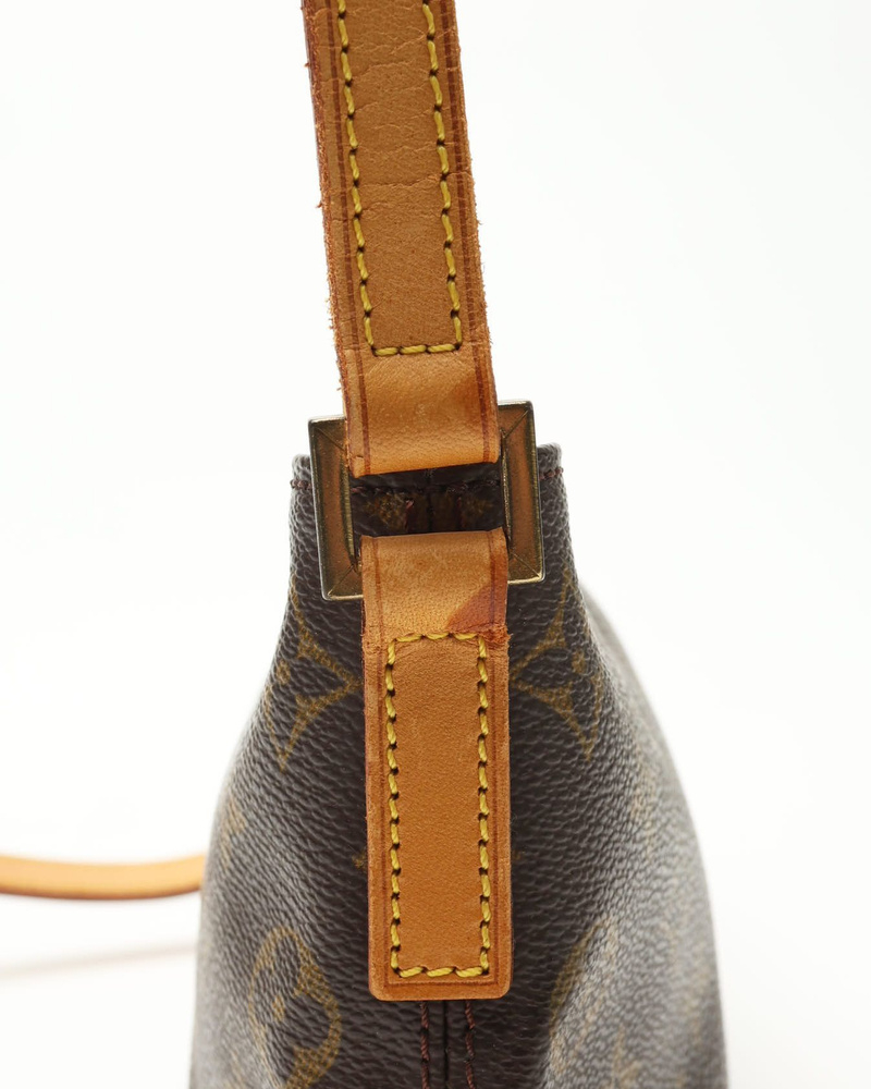 Louis Vuitton Monogram Trotteur Crossbody Bag