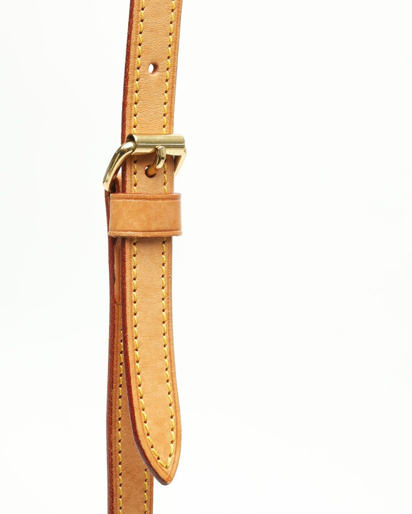 Louis Vuitton Monogram Drouot Crossbody Bag