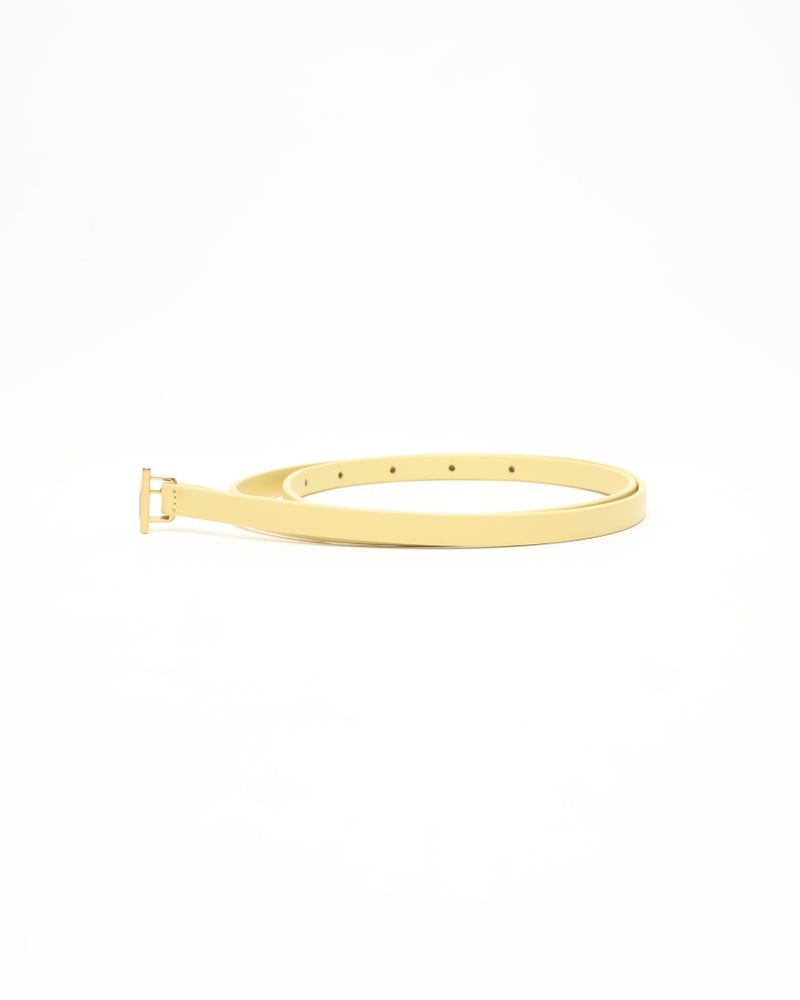 Bottega Veneta Triangle Small Belt