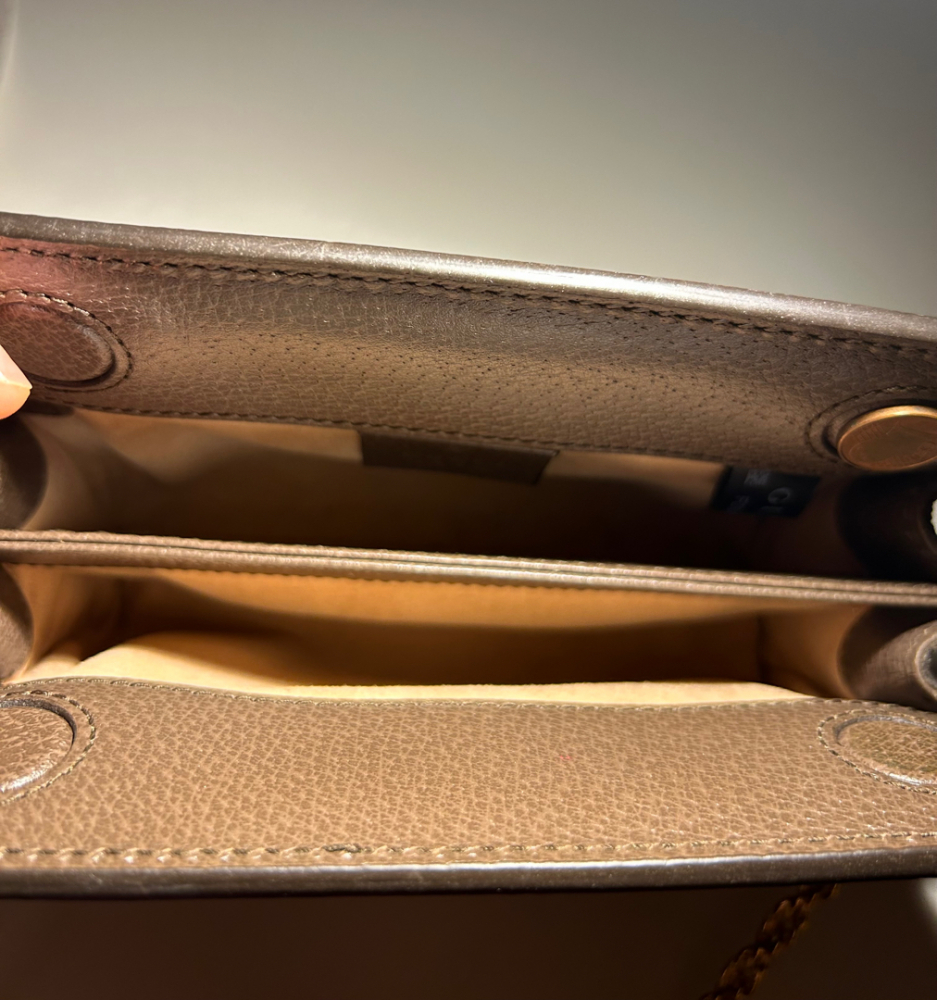 Gucci Mini-sac Ophidia