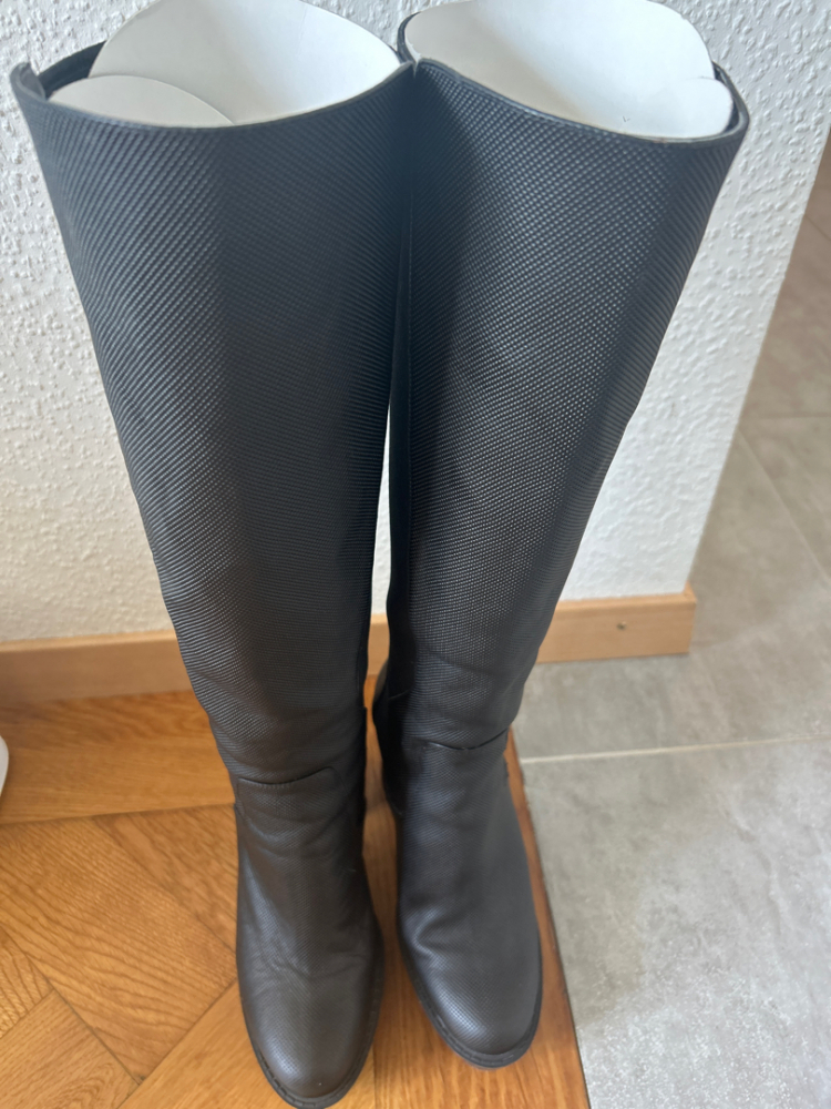 Pollini Carro (glaube ich)