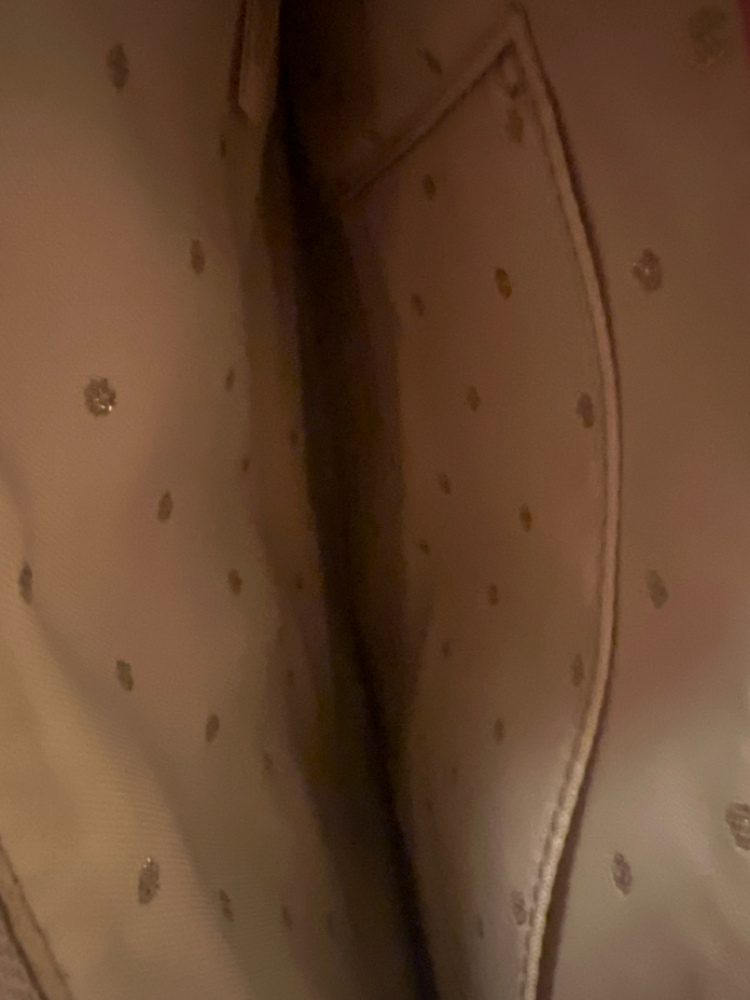 Kate Spade Pochette Kate