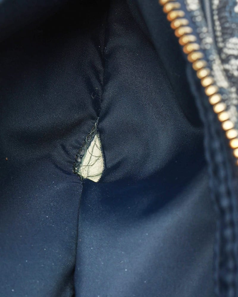 Christian Dior Oblique Crossbody Bag