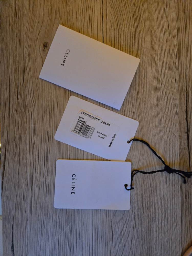 Celine Phantom Luggage