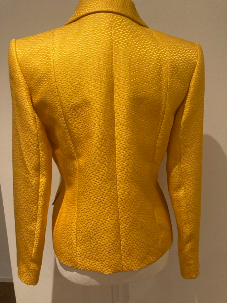 Yves Saint Laurent Variation