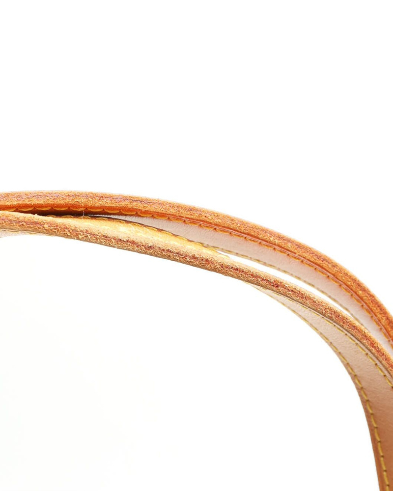 Louis Vuitton Monogram Sac Shopping Bag