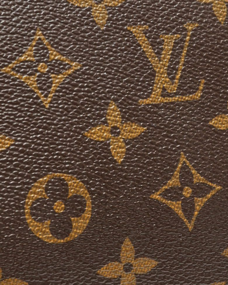 Louis Vuitton Monogram Olympe Bag