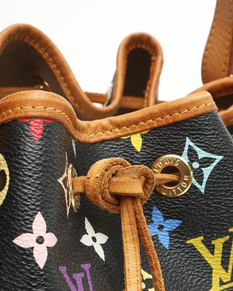 Louis Vuitton Murakami Monogram Petit Noé Bag