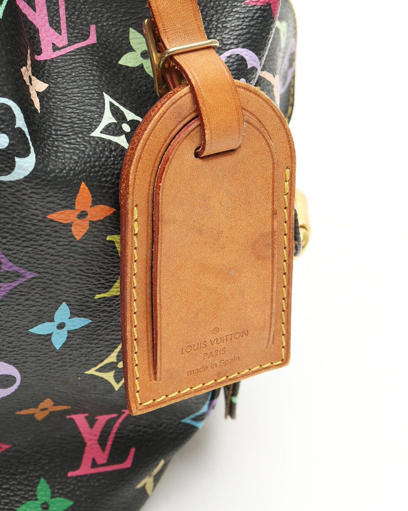 Louis Vuitton Murakami Monogram Petit Noé Bag