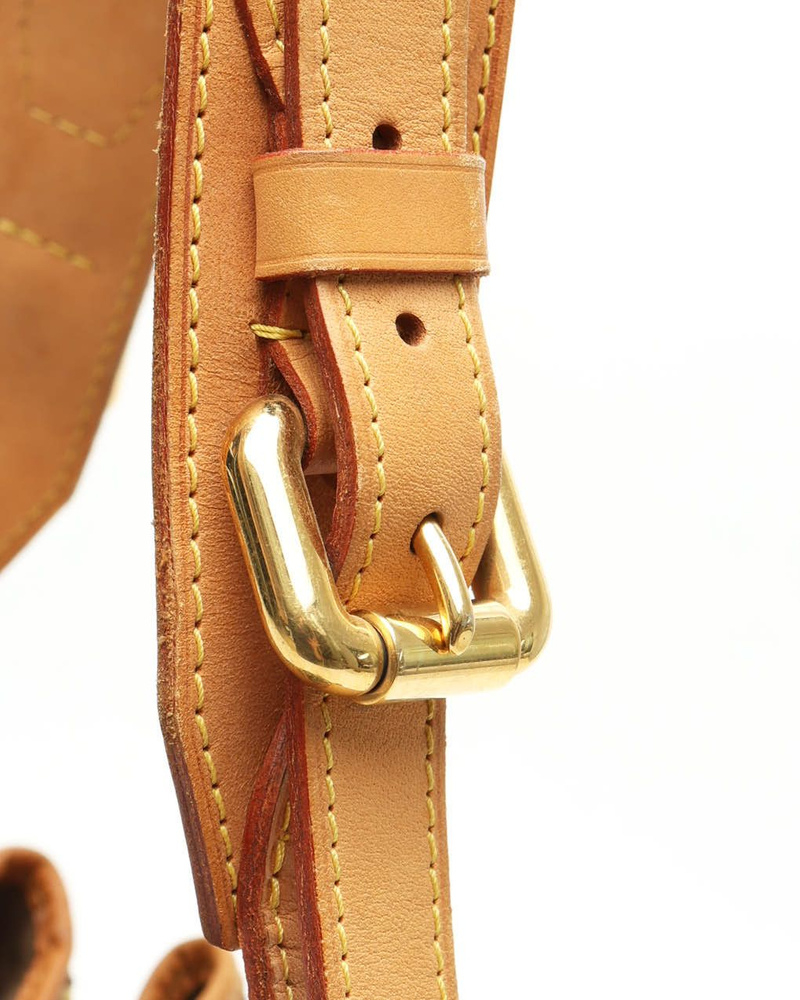 Louis Vuitton Murakami Monogram Petit Noé Bag