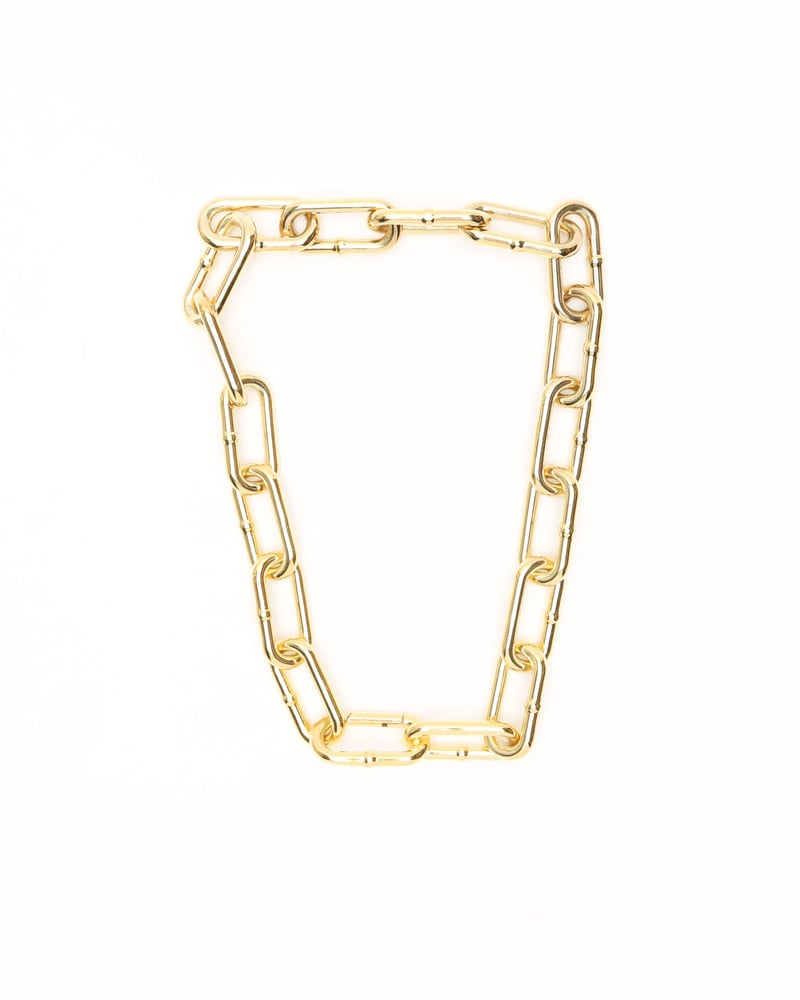 Bottega Veneta Silver Gold plated Chain Necklace