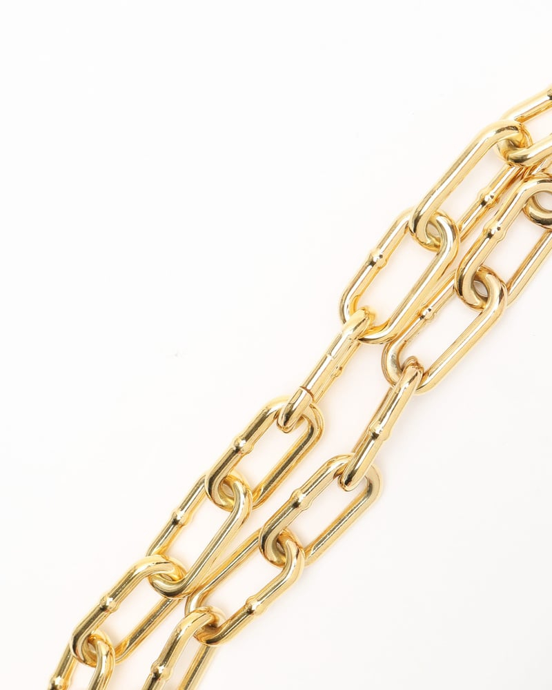 Bottega Veneta Silver Gold plated Chain Necklace