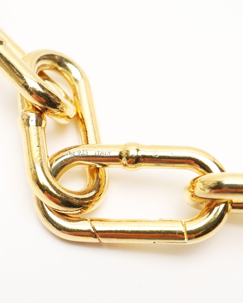 Bottega Veneta Silver Gold plated Chain Necklace