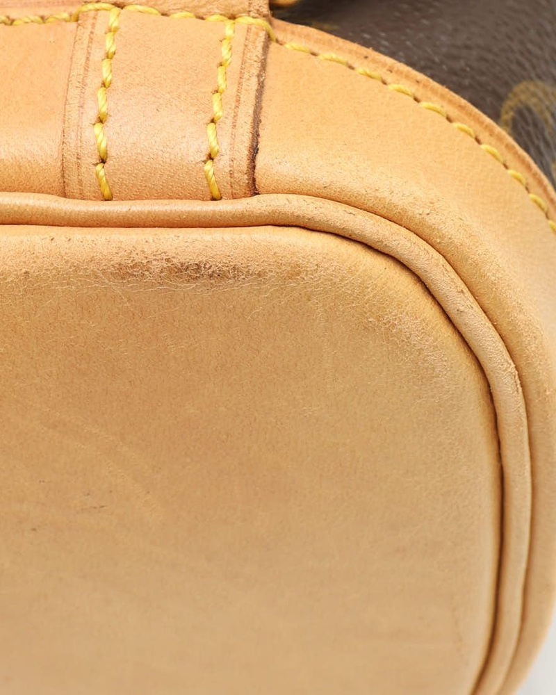 Louis Vuitton Monogram Montsouris PM Backpack