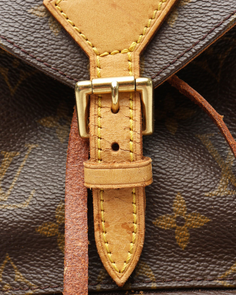 Louis Vuitton Monogram Montsouris PM Backpack