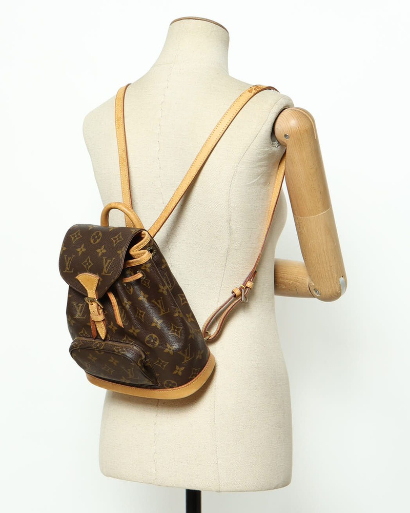 Louis Vuitton Monogram Montsouris PM Backpack