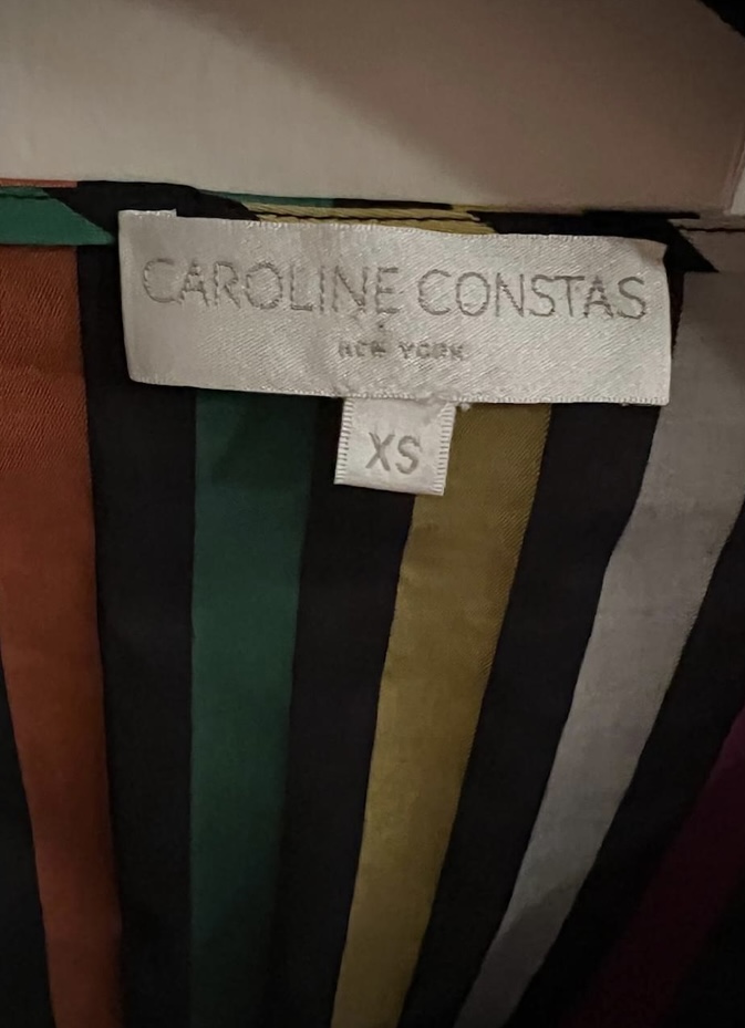 Caroline Constas Dressy dress