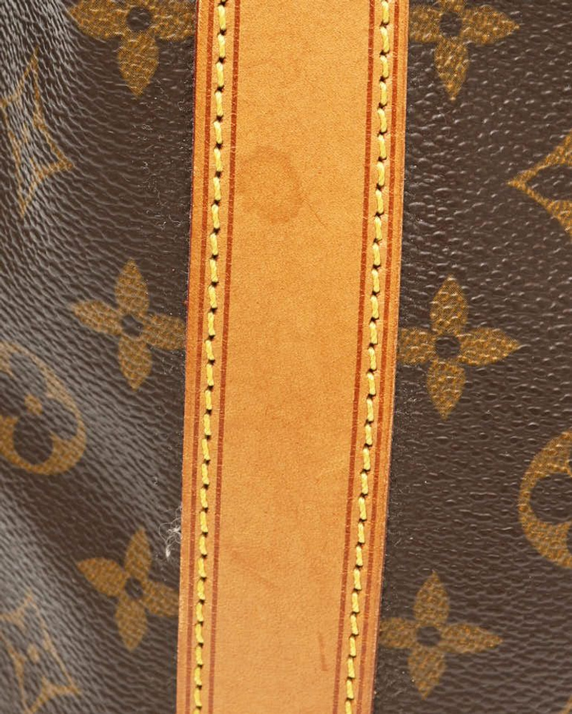Louis Vuitton Monogram Randoné PM Bag
