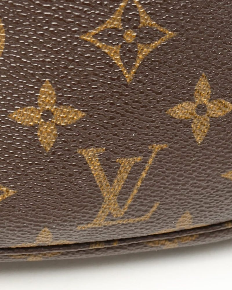 Louis Vuitton Monogram Pochette Accessoires Bag