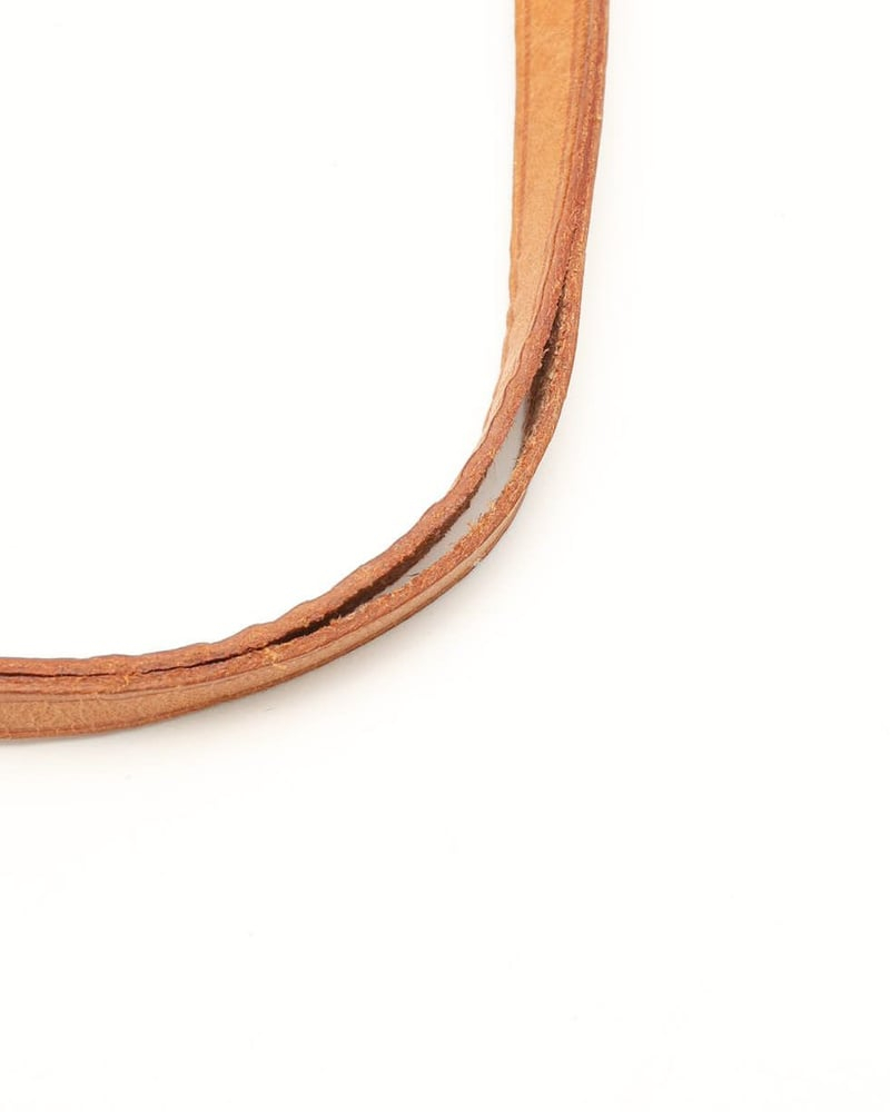 Louis Vuitton Monogram Pochette Accessoires Bag