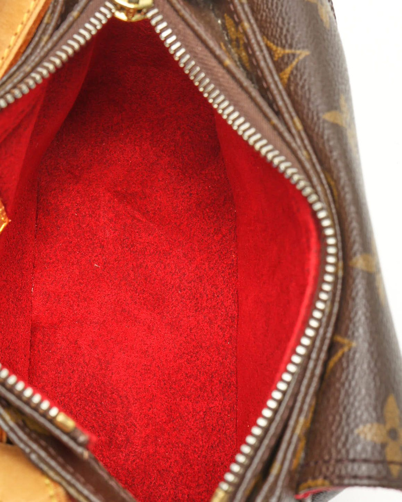 Louis Vuitton Monogram Viva Cite Bag