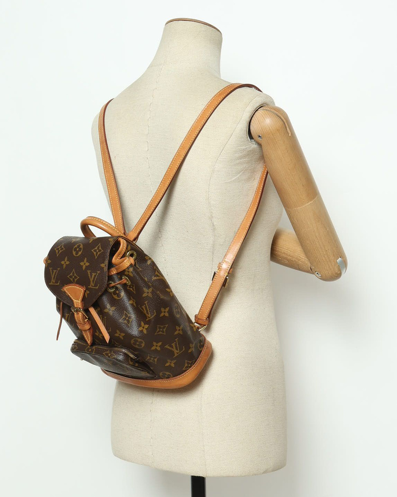 Louis Vuitton Montsouris PM Backpack