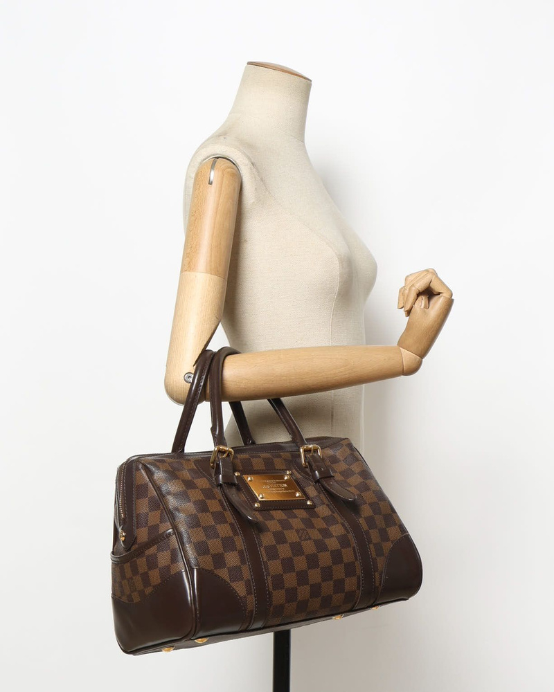 Louis Vuitton Damier Berkeley Bag