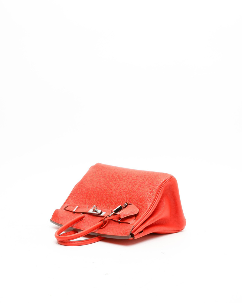 Hermès Birkin 25 Togo Bag