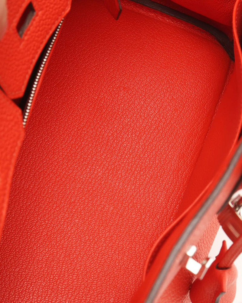 Hermès Birkin 25 Togo Bag