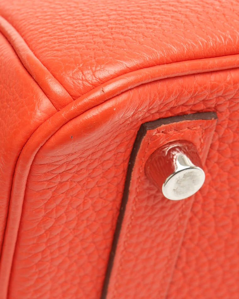 Hermès Birkin 25 Togo Bag