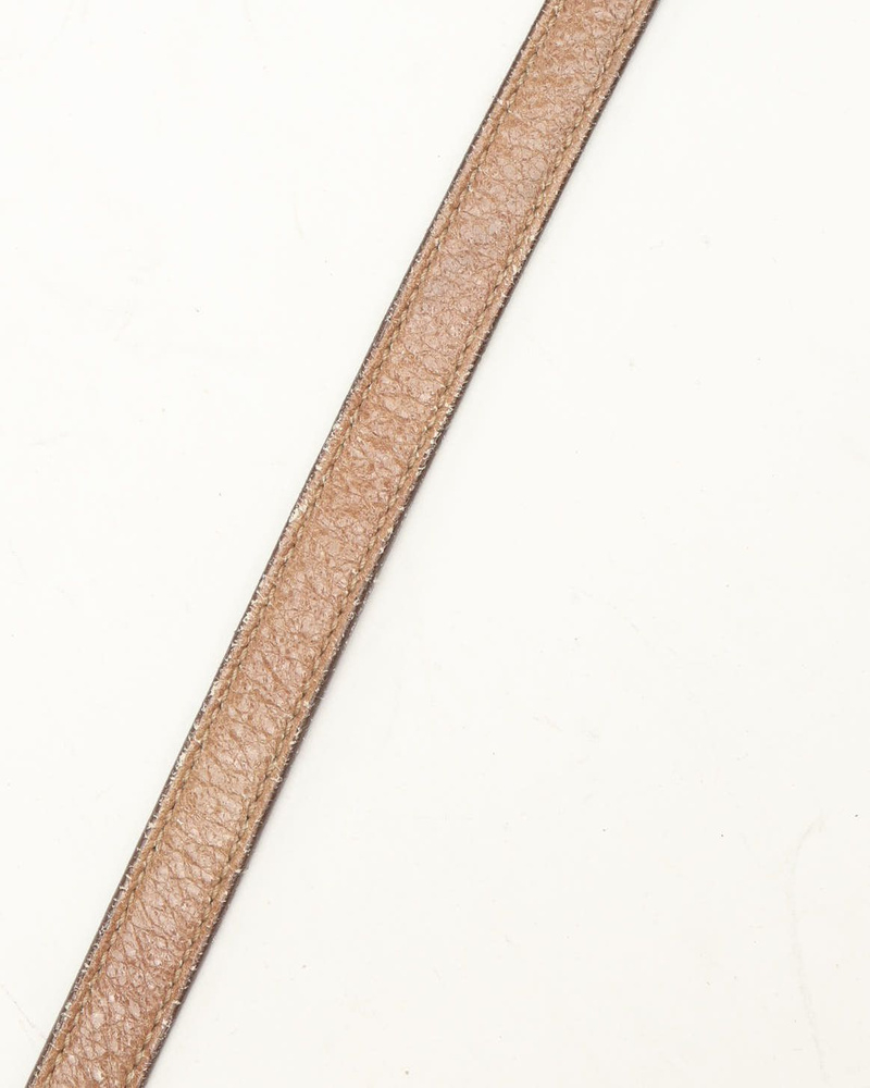 Prada Shimmery Hobo Bag