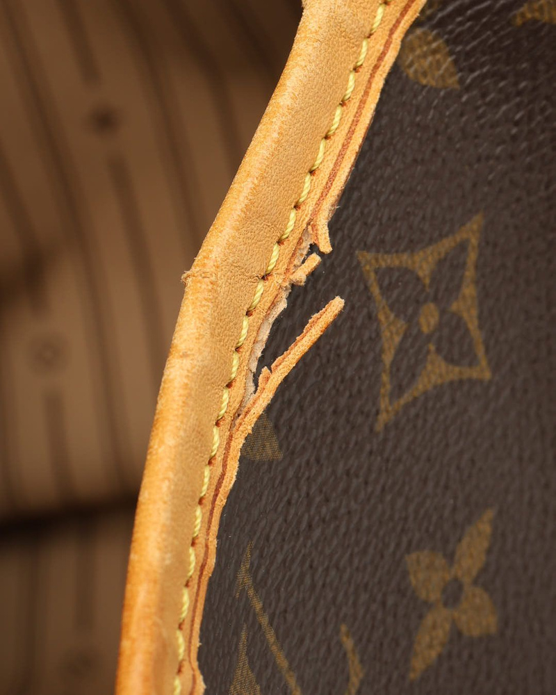 Louis Vuitton Monogram Delightful GM Bag