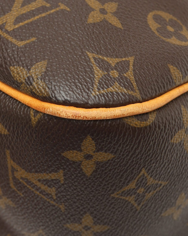 Louis Vuitton Monogram Delightful GM Bag