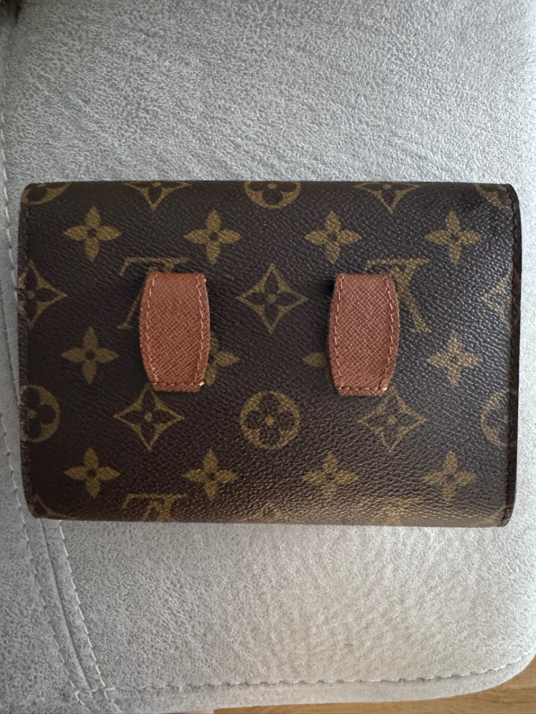 Louis Vuitton Pochette ceinture arche