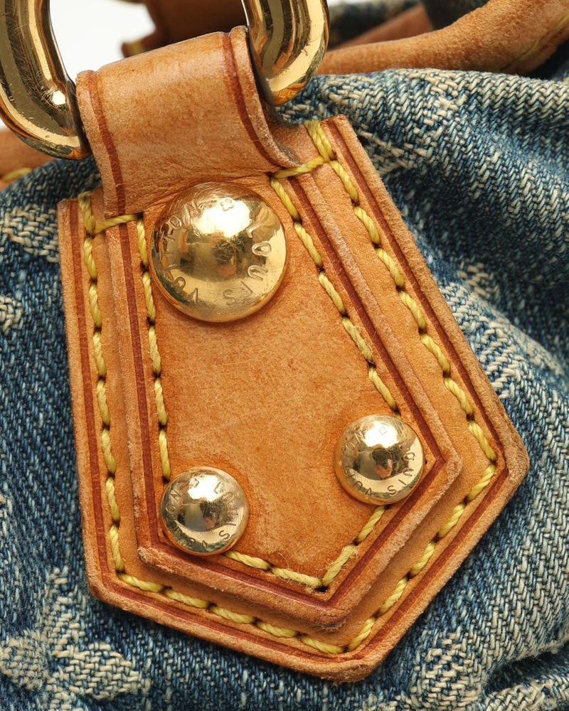 Louis Vuitton Monogram Denim Pleaty Handbag