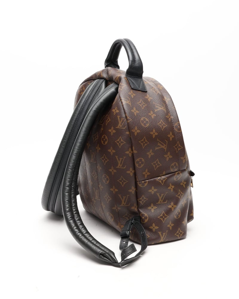 Louis Vuitton Monogram Palm Springs MM Backpack