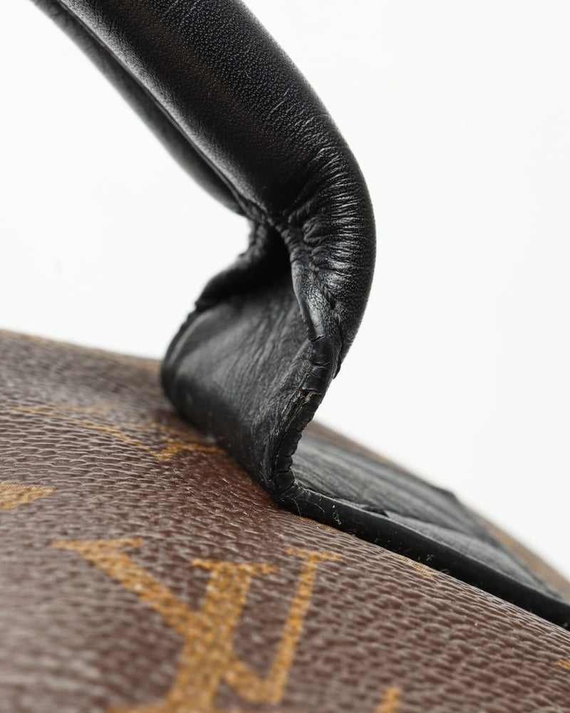 Louis Vuitton Monogram Palm Springs MM Backpack