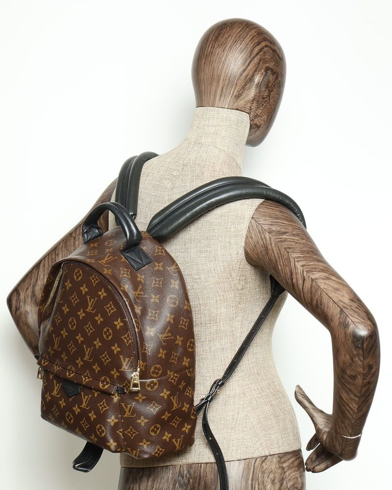 Louis Vuitton Monogram Palm Springs MM Backpack