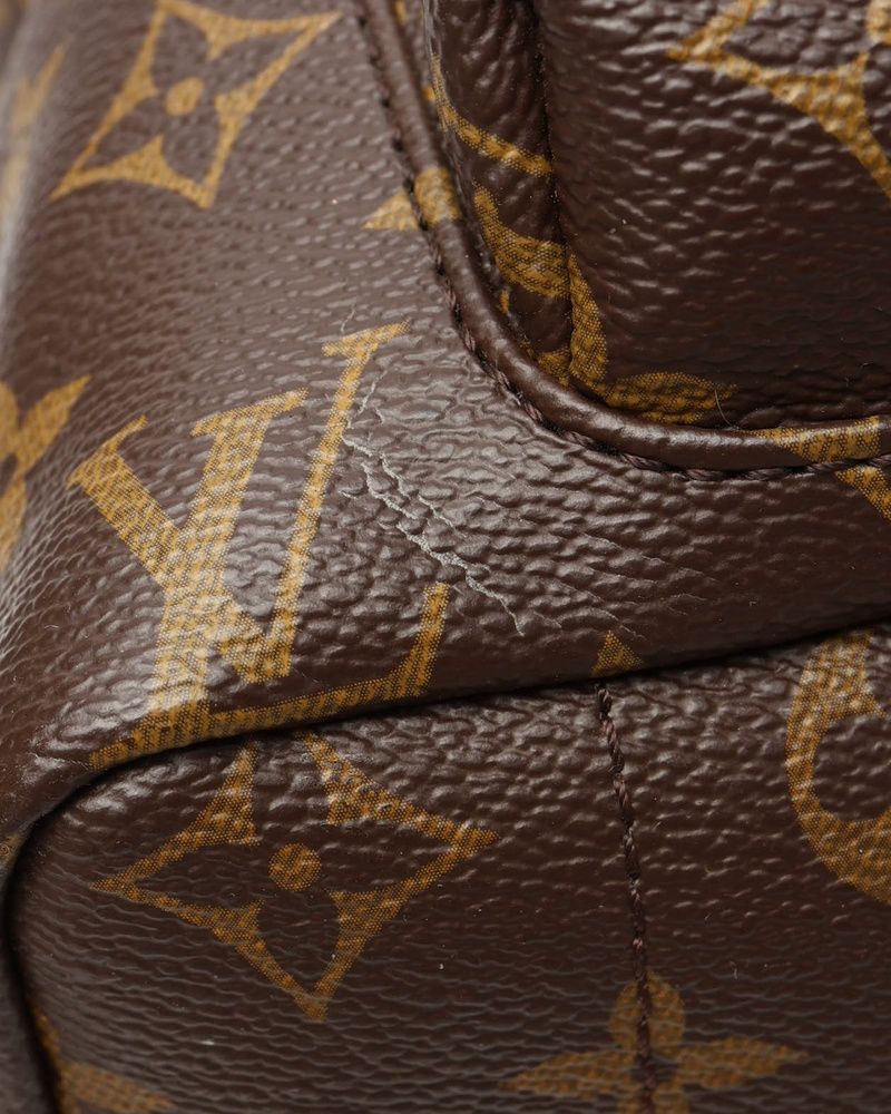 Louis Vuitton Monogram Palm Springs MM Backpack